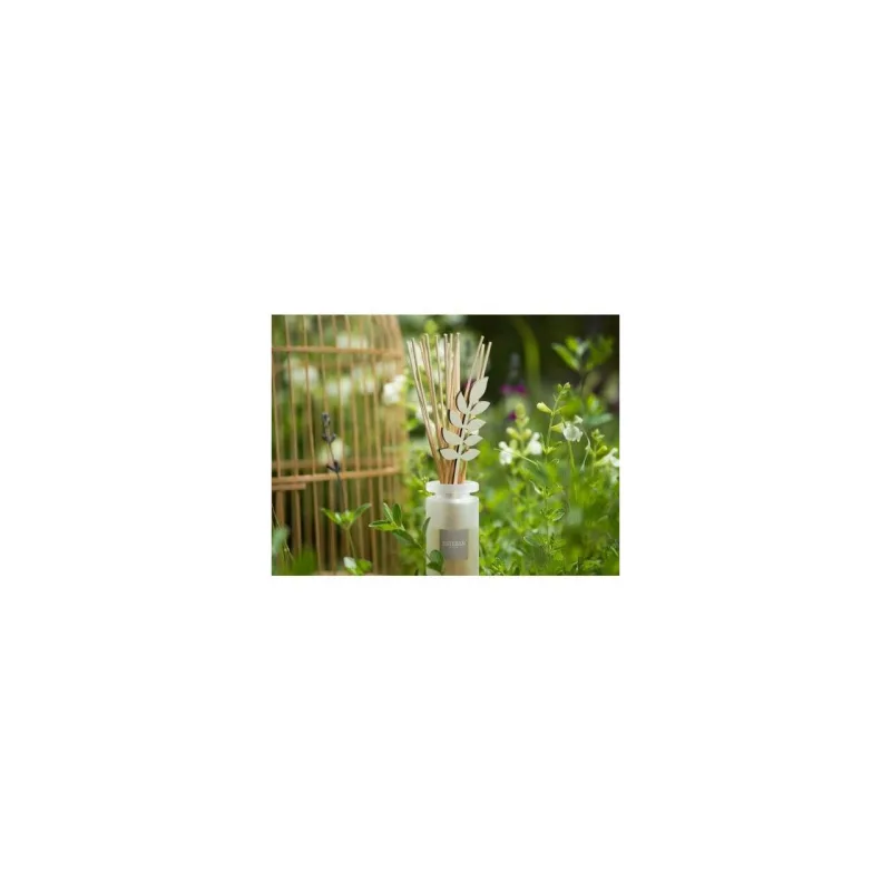 Rezerva parfum 250ml Pine&Fleur de Sel - Esteban Paris Parfums - Image 2