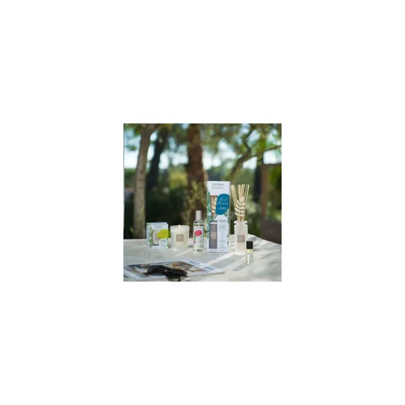 Rezerva parfum 250ml Pine&Fleur de Sel - Esteban Paris Parfums - Image 3