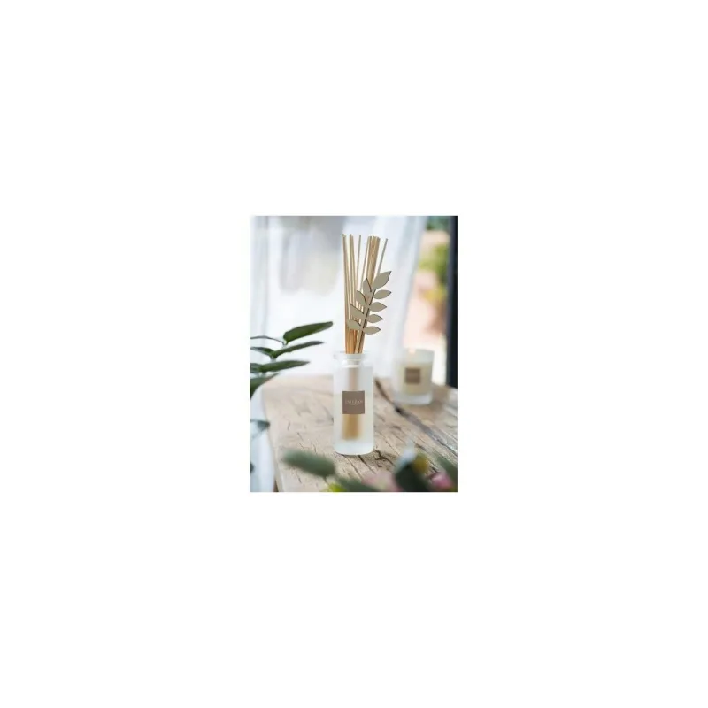 Rezerva parfum 250ml Pine&Fleur de Sel - Esteban Paris Parfums - Image 6