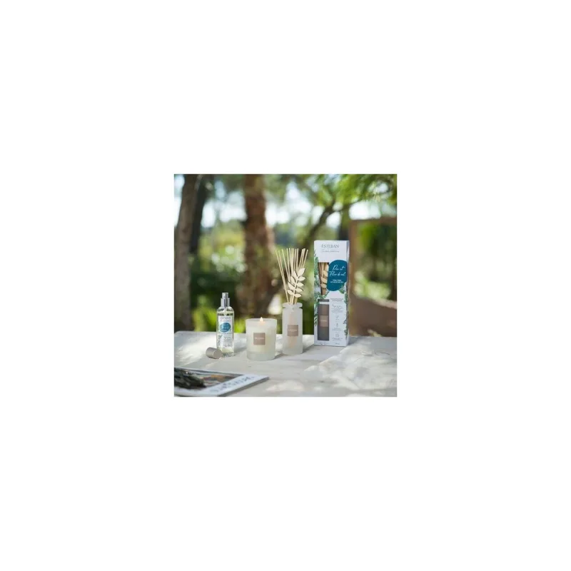 Rezerva parfum 250ml Pine&Fleur de Sel - Esteban Paris Parfums - Image 7