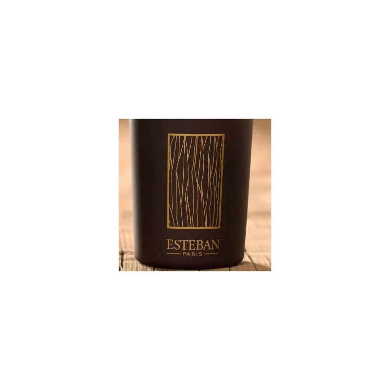 Difuzor deco. Cedre&Rezerva 100ml - Esteban Paris Parfums - Image 3