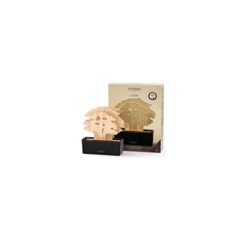 Copac Parfumat Cedre 200ml - Esteban Paris Parfums - Image 3