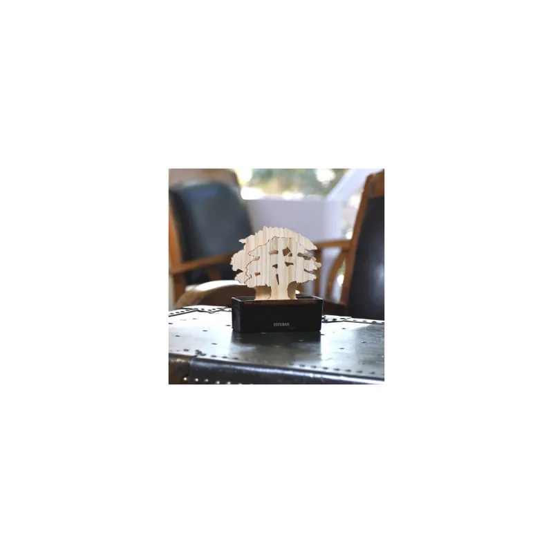 Copac Parfumat Cedre 200ml - Esteban Paris Parfums - Image 4