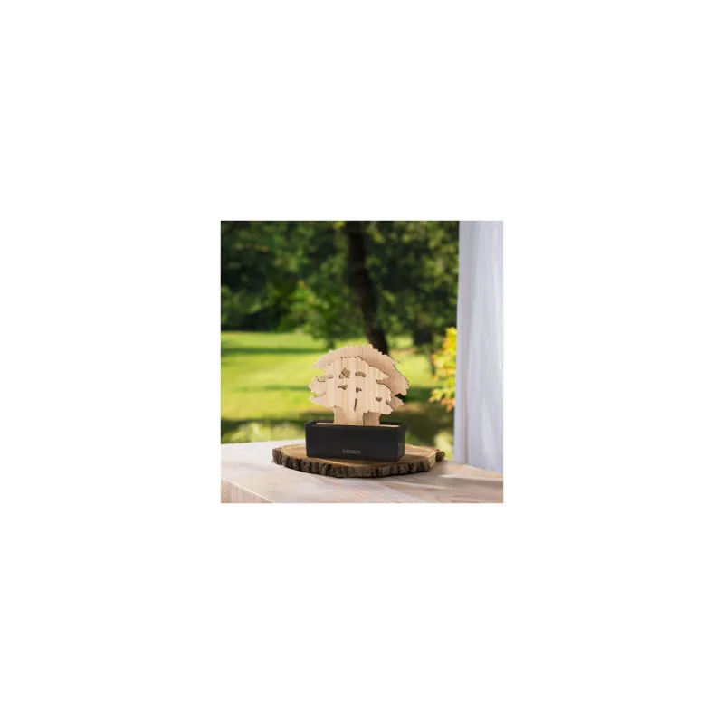 Copac Parfumat Cedre 200ml - Esteban Paris Parfums - Image 6