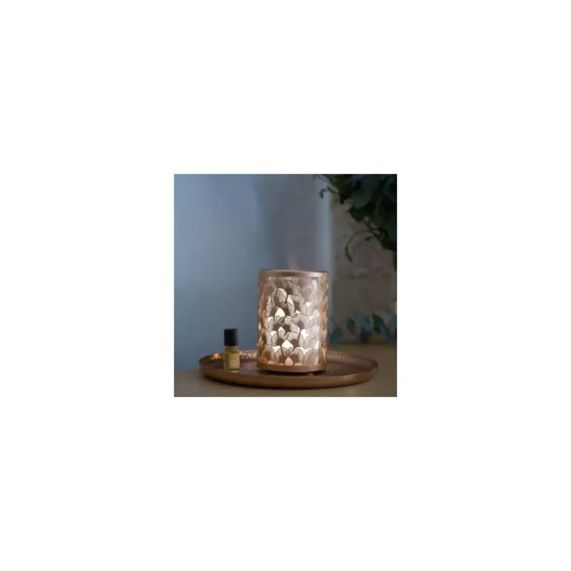 Difuzor Electric Light&Copper - Esteban Paris Parfums - Image 2