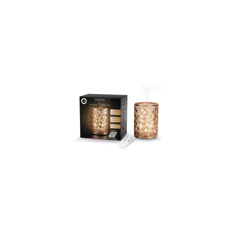 Difuzor Electric Light&Copper - Esteban Paris Parfums - Image 4