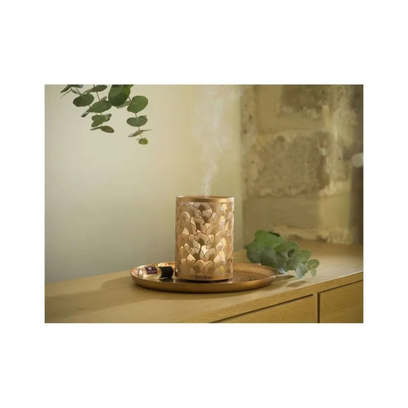 Difuzor Electric Light&Copper - Esteban Paris Parfums - Image 5