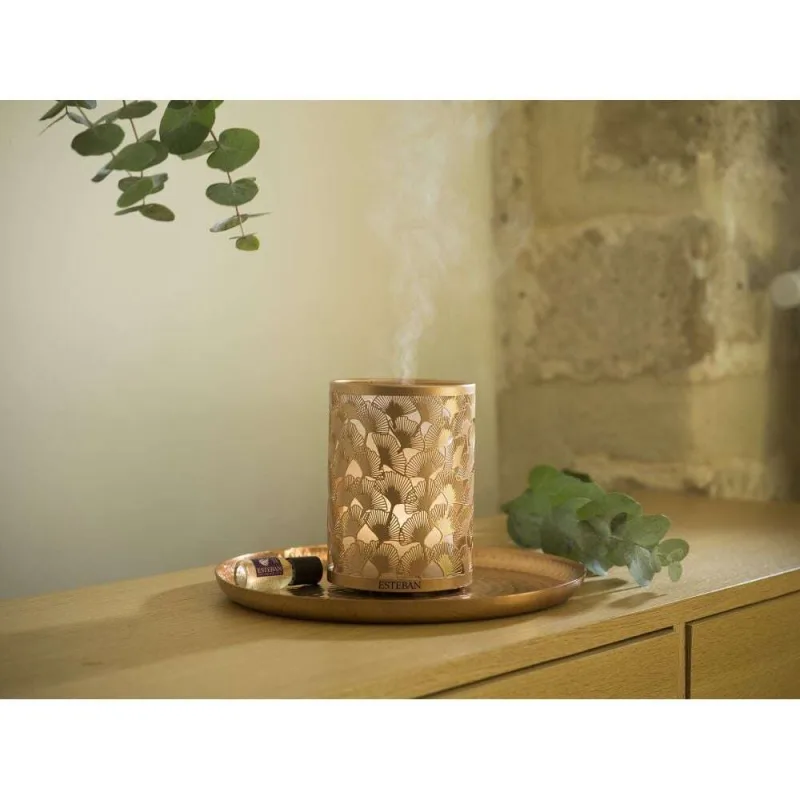 Difuzor Electric Light&Copper - Esteban Paris Parfums - Image 9