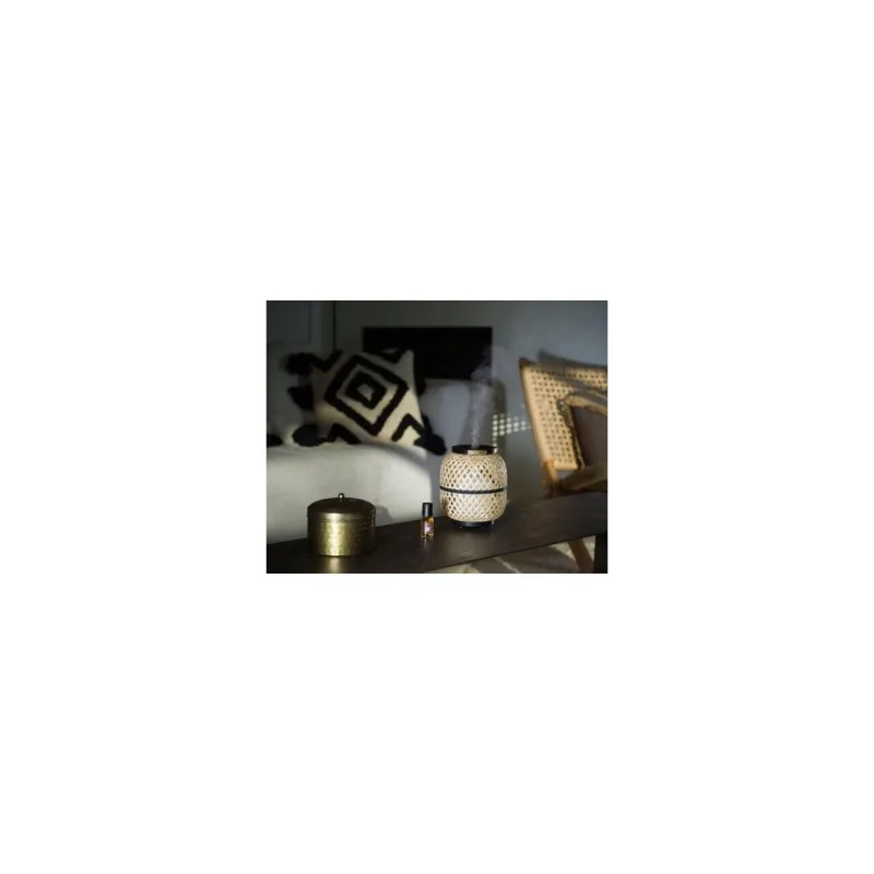 Difuzor Electric Light&Bamboo Edition - Esteban Paris Parfums - Image 3