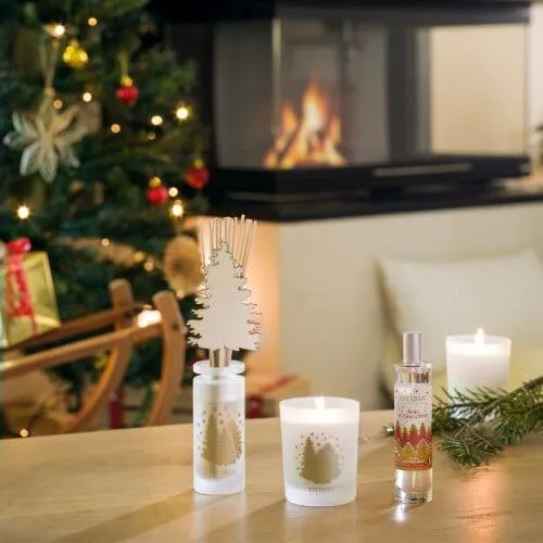 Rezerva Parfum 250ml Berries and Winter Flower - Esteban Paris Parfums - Image 3