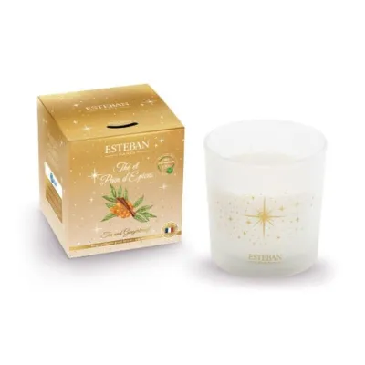 Lumanare Parfumata Ceai si turta dulce 450g - Esteban Paris Parfums