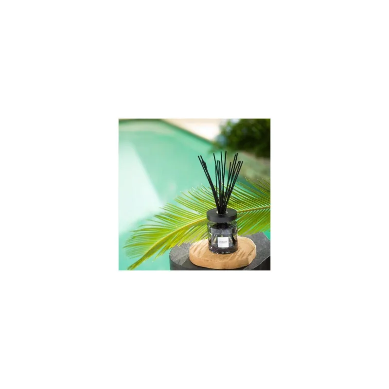 Rezerva Parfum 250ml Sandalwood&Coconut Blossom - Esteban Paris Parfums - Image 3