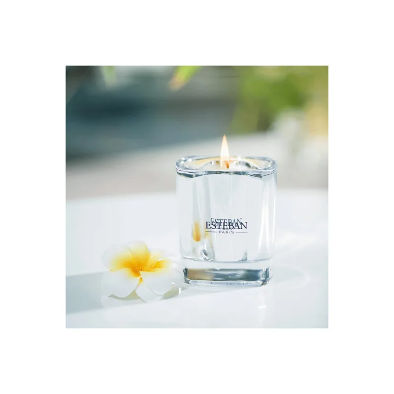 Lumanare Parfumata Ceai Alb&Ylang Ylang - Esteban Paris Parfums - Image 2