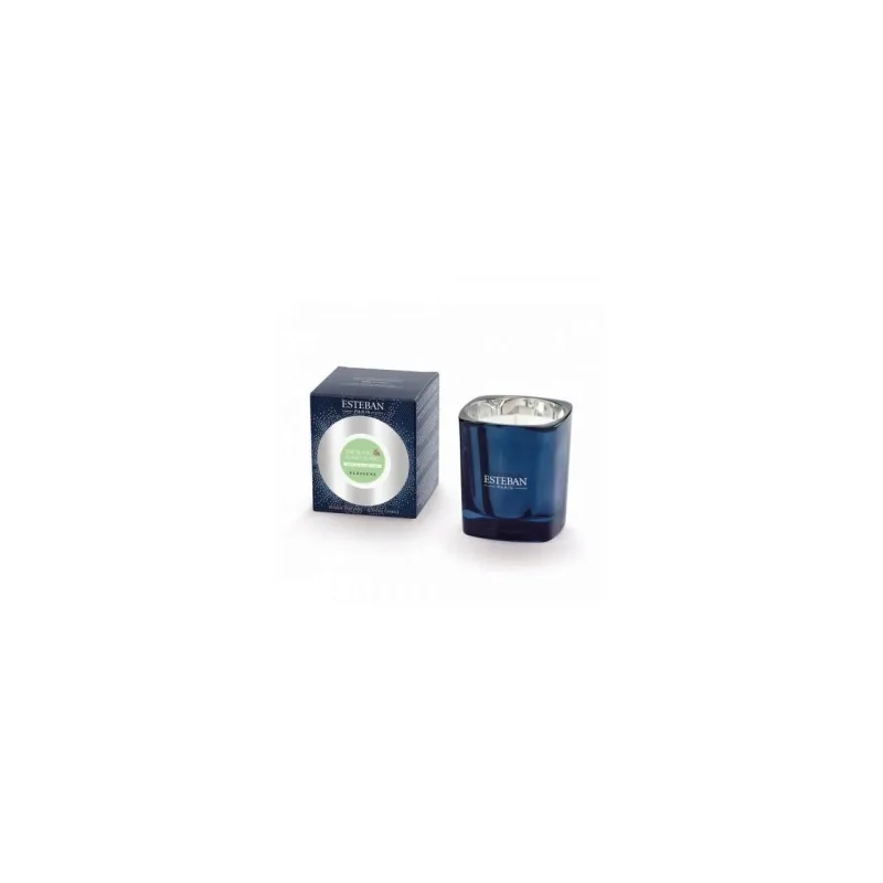 Lumanare Parfumata Ceai Alb&Ylang Ylang - Esteban Paris Parfums - Image 6