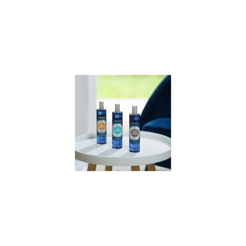 Spray Camera 100ml Ceai Alb&Ylang Ylang - Esteban Paris Parfums - Image 3