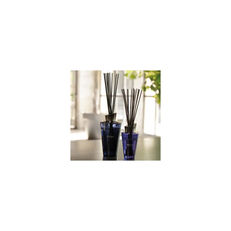 Rezerva Parfum 500ml Ceai Alb&Ylang Ylang - Esteban Paris Parfums - Image 2