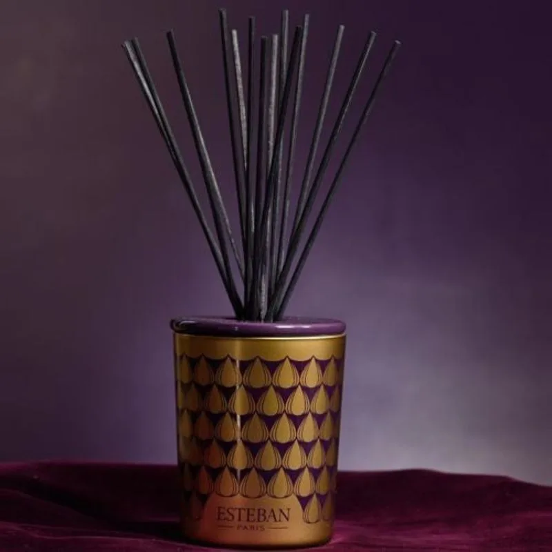 Rezerva Parfum 250ml Figue Noire - Esteban Paris Parfums - Image 4