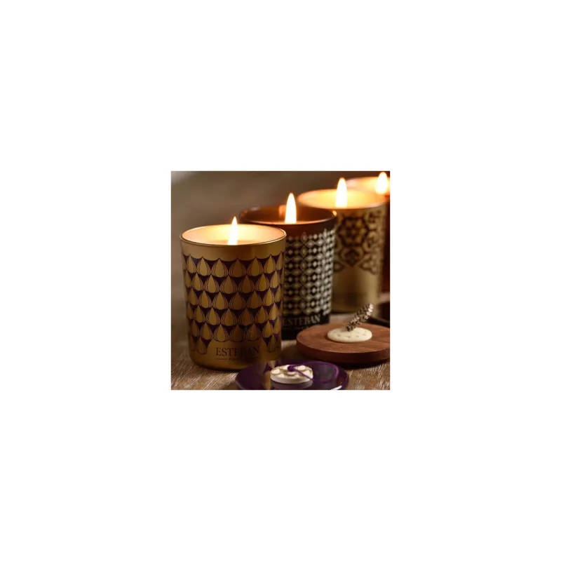 Lumanare deco. Figue Noire - Esteban Paris Parfums - Image 2