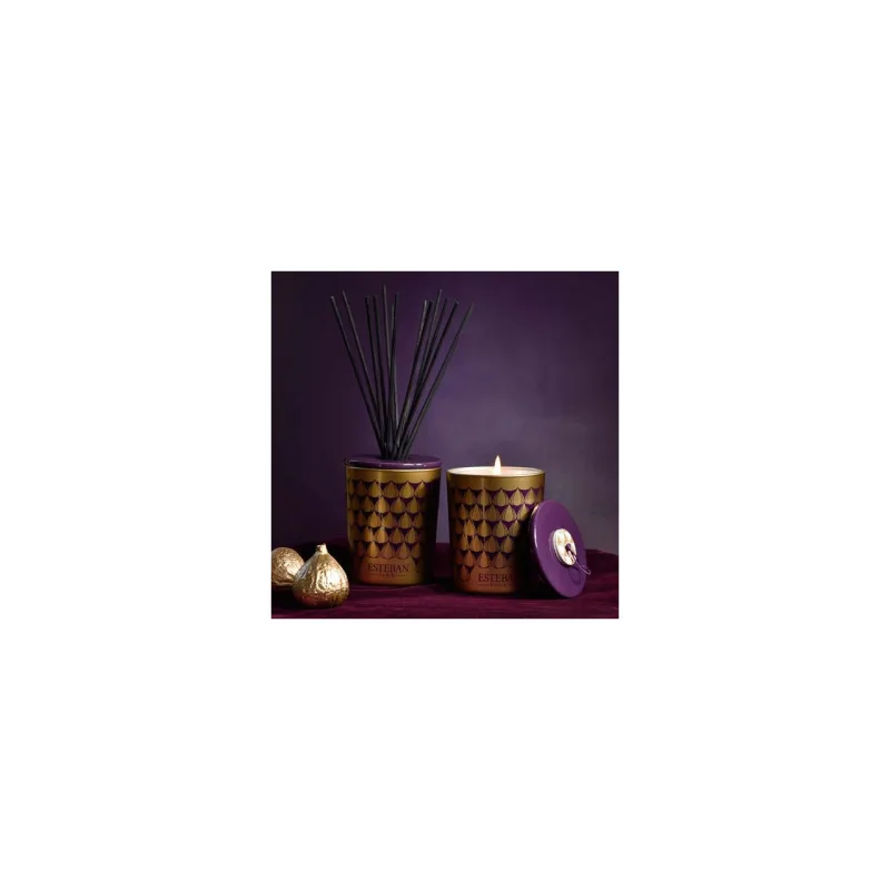 Difuzor deco. Figue Noire&Rezerva 100ml - Esteban Paris Parfums - Image 2