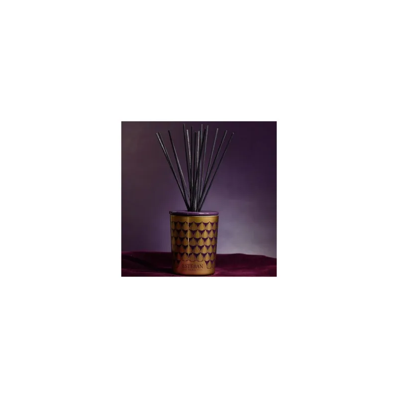 Difuzor deco. Figue Noire&Rezerva 100ml - Esteban Paris Parfums - Image 6