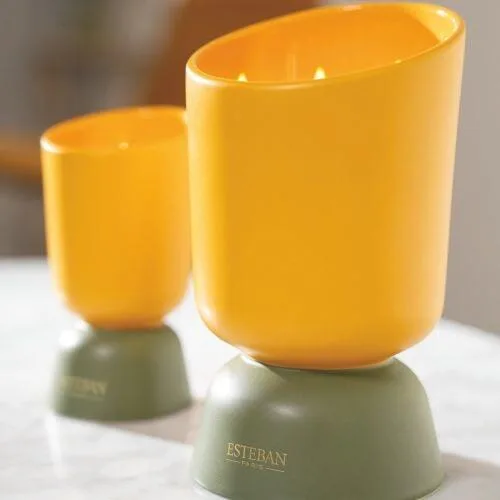 Rezerva  lumanare parfumata Iconic Color 400g  Figue Noire - Esteban Paris Parfums - Image 7