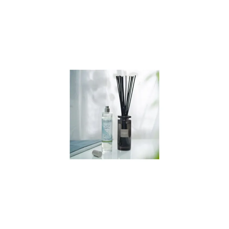 Difuzor Parfum Pur Lin 100ml - Esteban Paris Parfums - Image 2