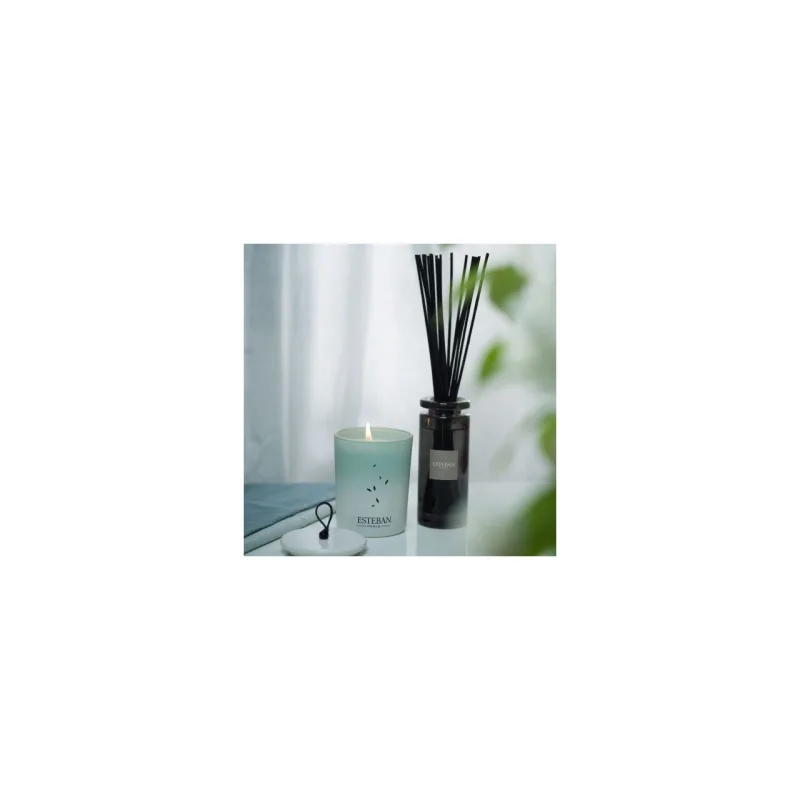 Difuzor Parfum Pur Lin 100ml - Esteban Paris Parfums - Image 3