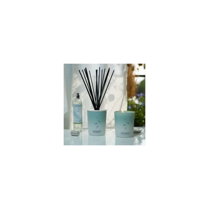 Spray Camera 75ml Pur Lin - Esteban Paris Parfums - Image 3