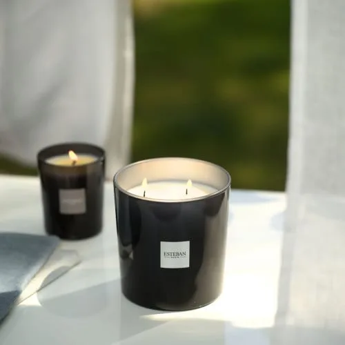 Lumanare Parfumata Pur Lin 450g - Esteban Paris Parfums - Image 7