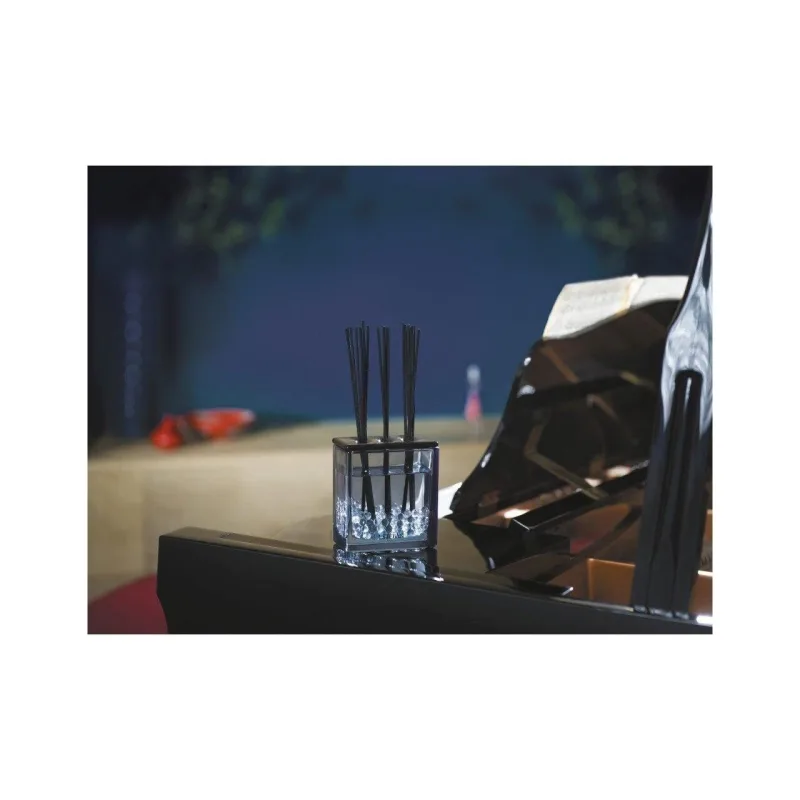 Difuzor Parfum Rouge Cassis&Rezerva 250ml - Esteban Paris Parfums - Image 2