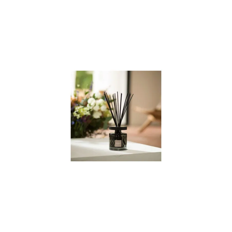 Difuzor Parfum Ellipse Rouge Cassis 200ml - Esteban Paris Parfums - Image 3