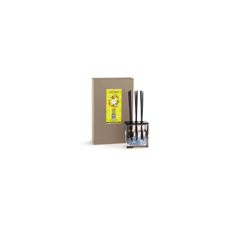 Difuzor Parfum Terre D'Agrumes&Rezerva 250ml - Esteban Paris Parfums - Image 5