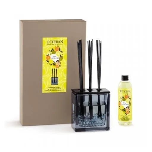 Difuzor Parfum Terre D'Agrumes&Rezerva 250ml - Esteban Paris Parfums - Image 7