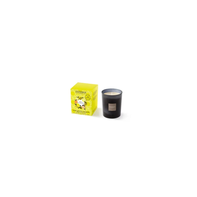 Lumanare Parfumata Terre D'Agrumes - Esteban Paris Parfums - Image 2