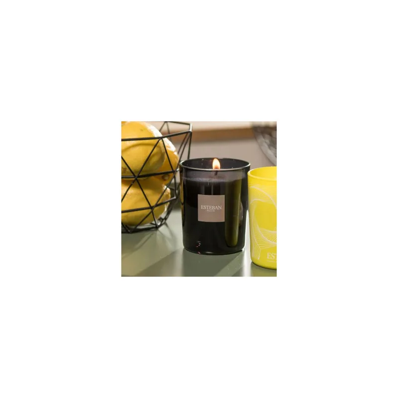 Lumanare Parfumata Terre D'Agrumes - Esteban Paris Parfums - Image 3