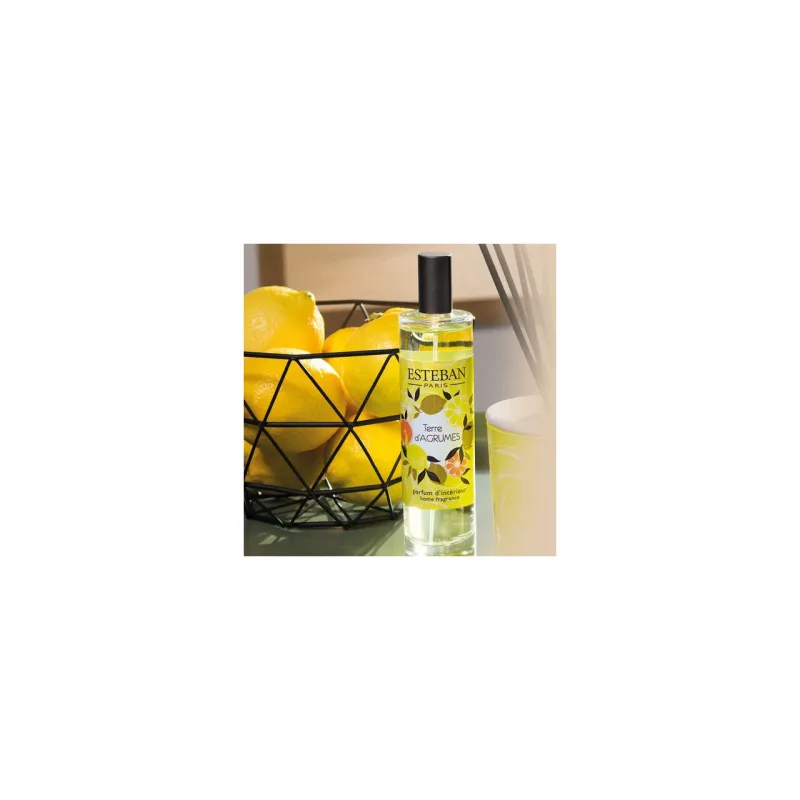 Spray Camera 75 ml Terre D'Agrumes - Esteban Paris Parfums - Image 3