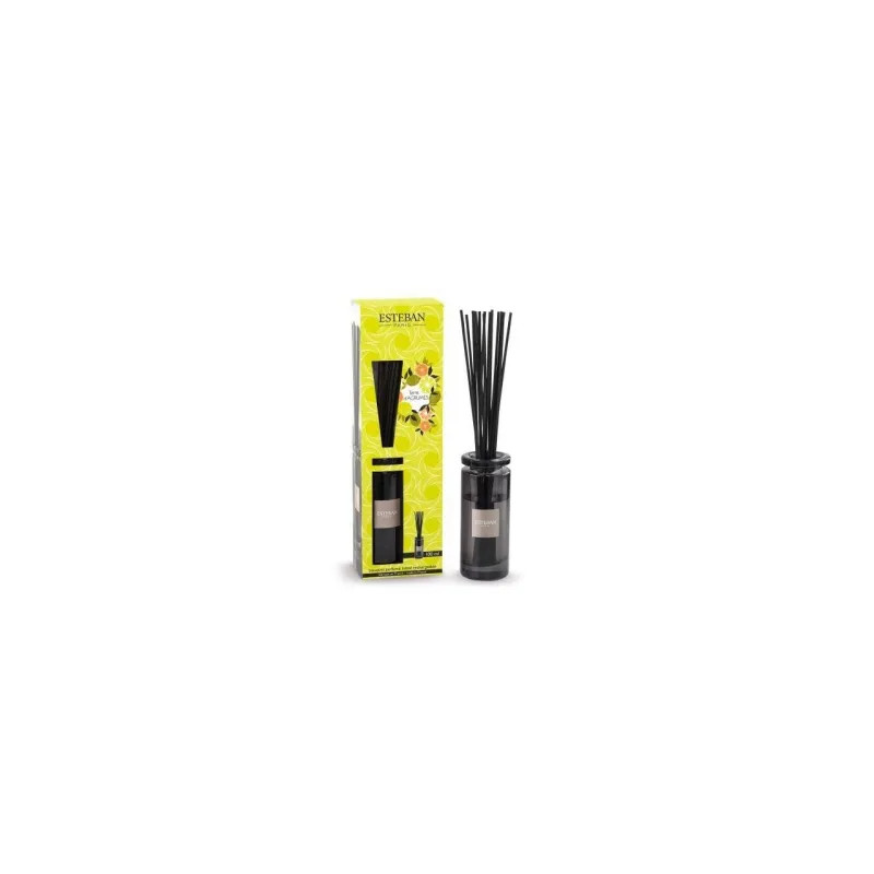Difuzor Parfum Terre D'Agrumes 100ml - Esteban Paris Parfums - Image 3