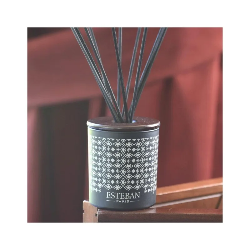 Difuzor deco. Teck&Tonka &Rezerva 100ml - Esteban Paris Parfums - Image 2