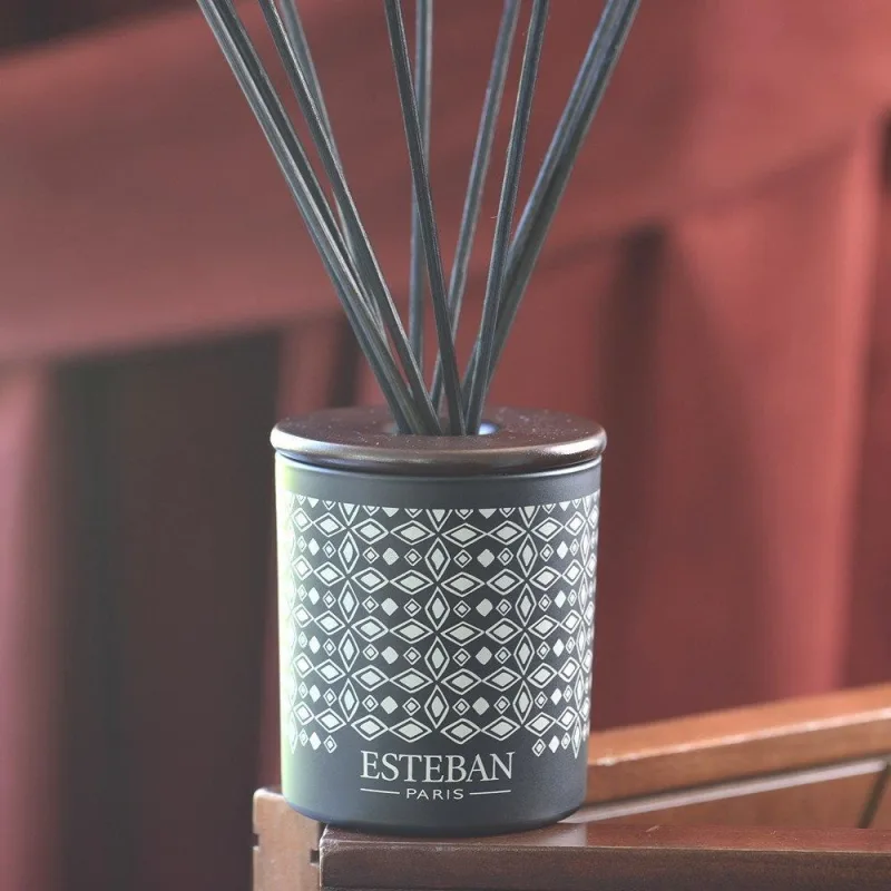 Difuzor deco. Teck&Tonka &Rezerva 100ml - Esteban Paris Parfums - Image 5