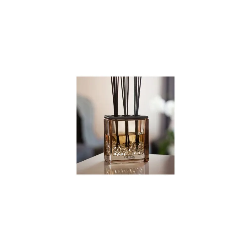 Rezerva Parfum 500ml Teck&Tonka - Esteban Paris Parfums - Image 2