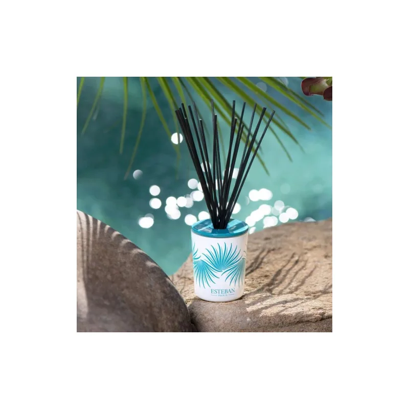 Difuzor deco. Ylang Ylang&Rezerva 100ml - Esteban Paris Parfums - Image 2