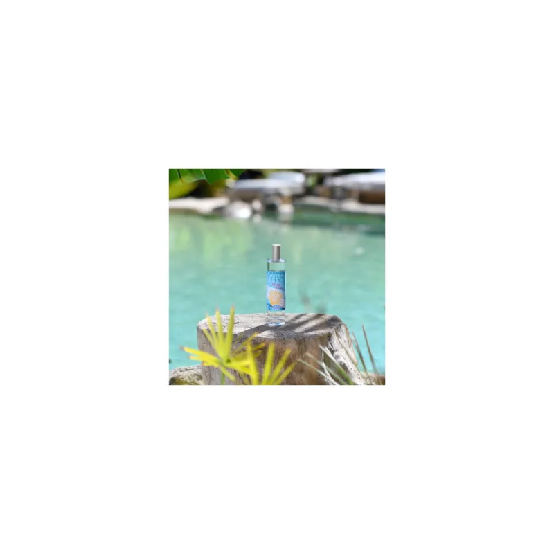 Spray Camera 75 ml Ylang Ylang - Esteban Paris Parfums - Image 4