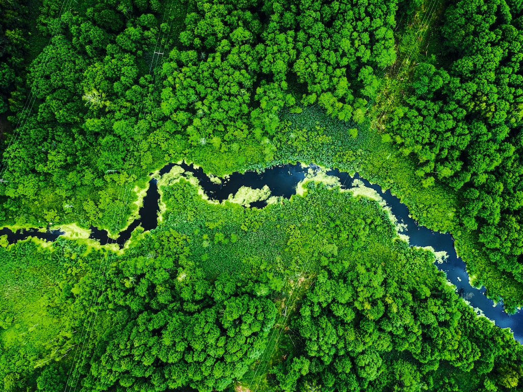 Detergenții de la Miele – eficienți și ecologici