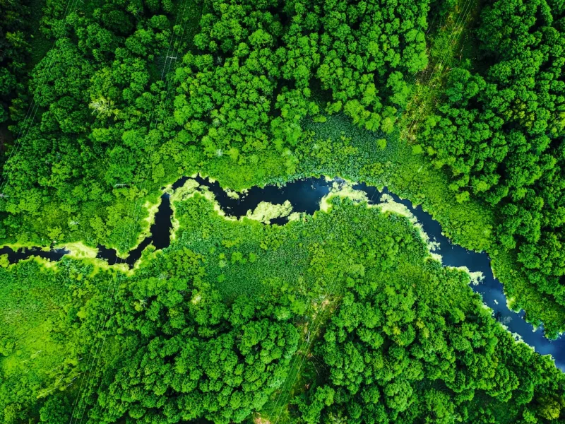Detergenții de la Miele – eficienți și ecologici
