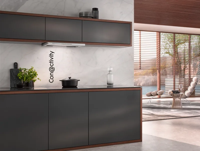 DAS 4620 Hota ingusta cu comenzi EasySwitch pentru utilizarea confortabila - Miele - Image 4
