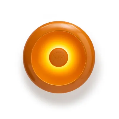 Sunny Orange