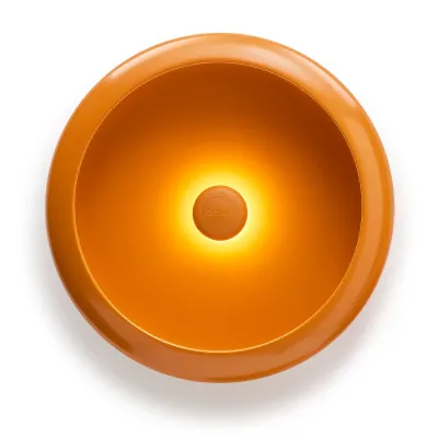Sunny Orange
