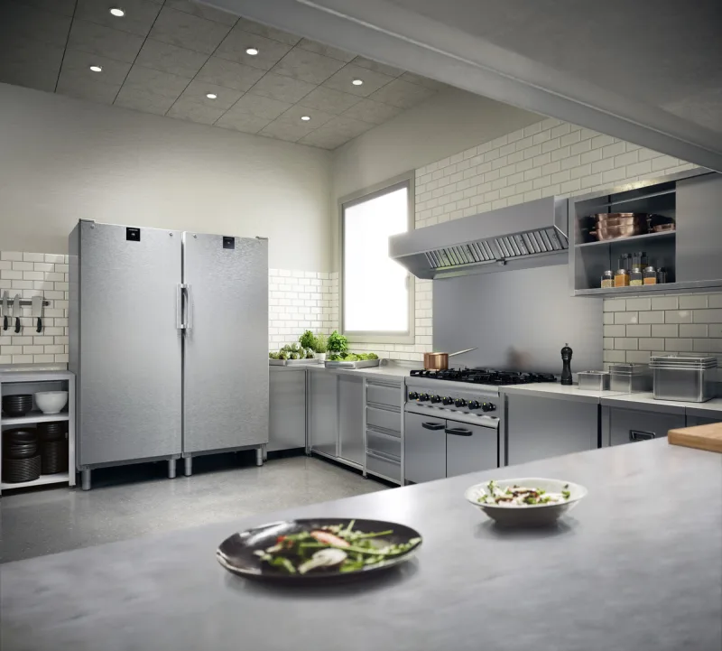 Frigider pentru gastronomie FRFCvg 6501 Perfection Liebherr - Image 6
