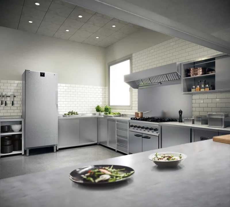 Congelator pentru gastronomie FFFCvg 6501 Perfection Liebherr - Image 6
