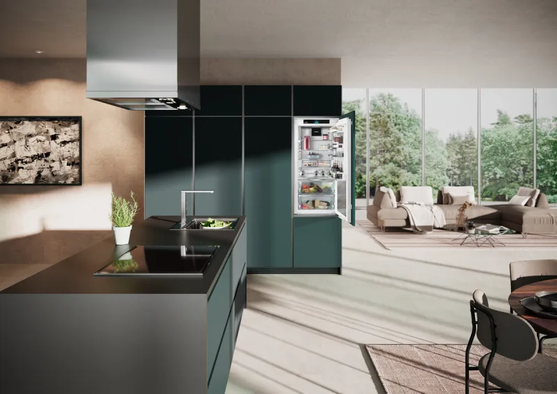 Frigider IRBbi 4170 peak BioFresh Liebherr - Image 5
